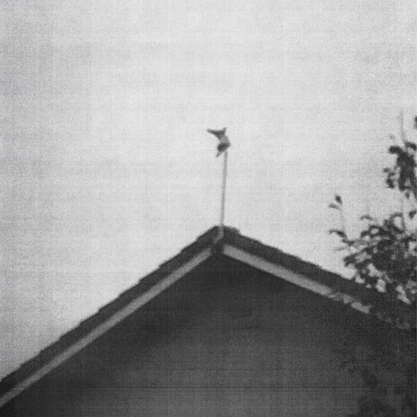 The Dark cover art