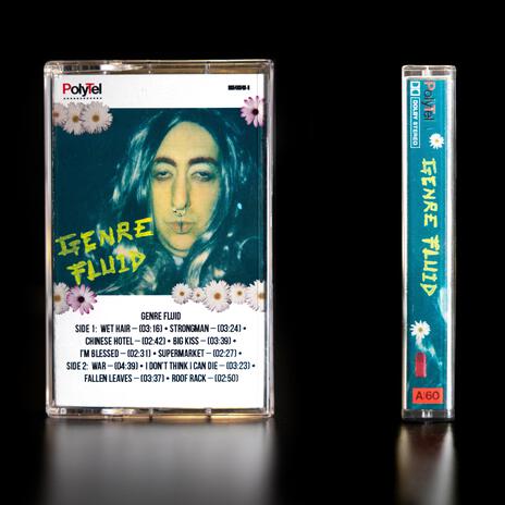 I Don't Think I Can Die cover art