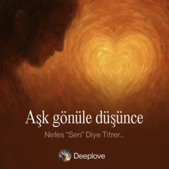 Aşk gönüle düşünce cover art