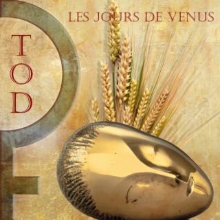T O D