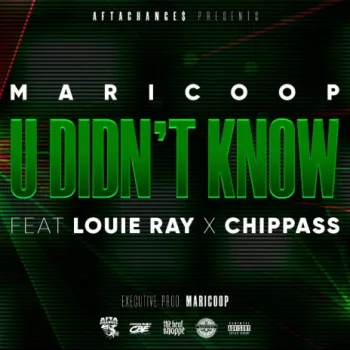 U Didn't Know ft. Louie Ray & Chippass cover art