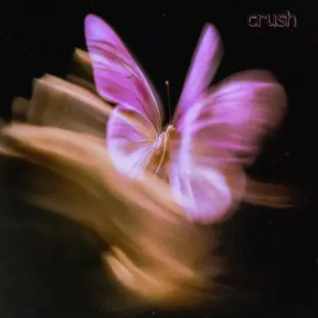crush cover art