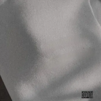 Dxsigner Fxshion cover art