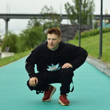 Если упал, вставай! cover art