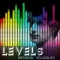 Levels