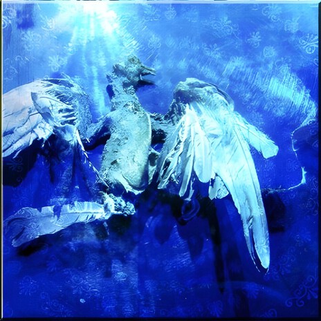 Innocent's Revenge cover art