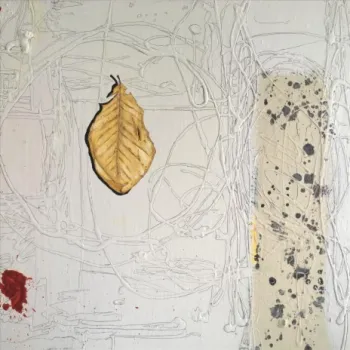 Man and the Animal cover art