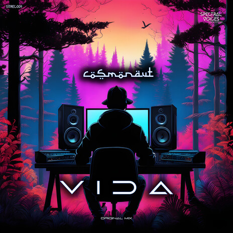 VIDA cover art