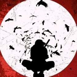 author avatar