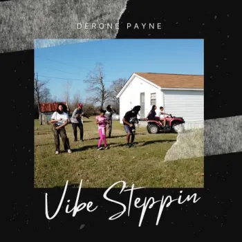 Vibe Steppin cover art