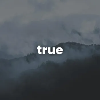 true cover art