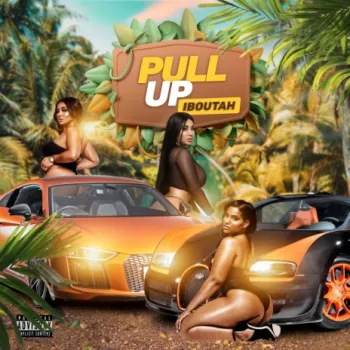 Pull Up cover art