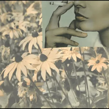 Paradise cover art