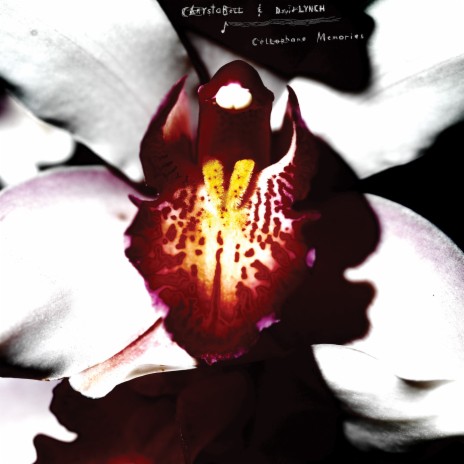 She Knew ft. David Lynch cover art