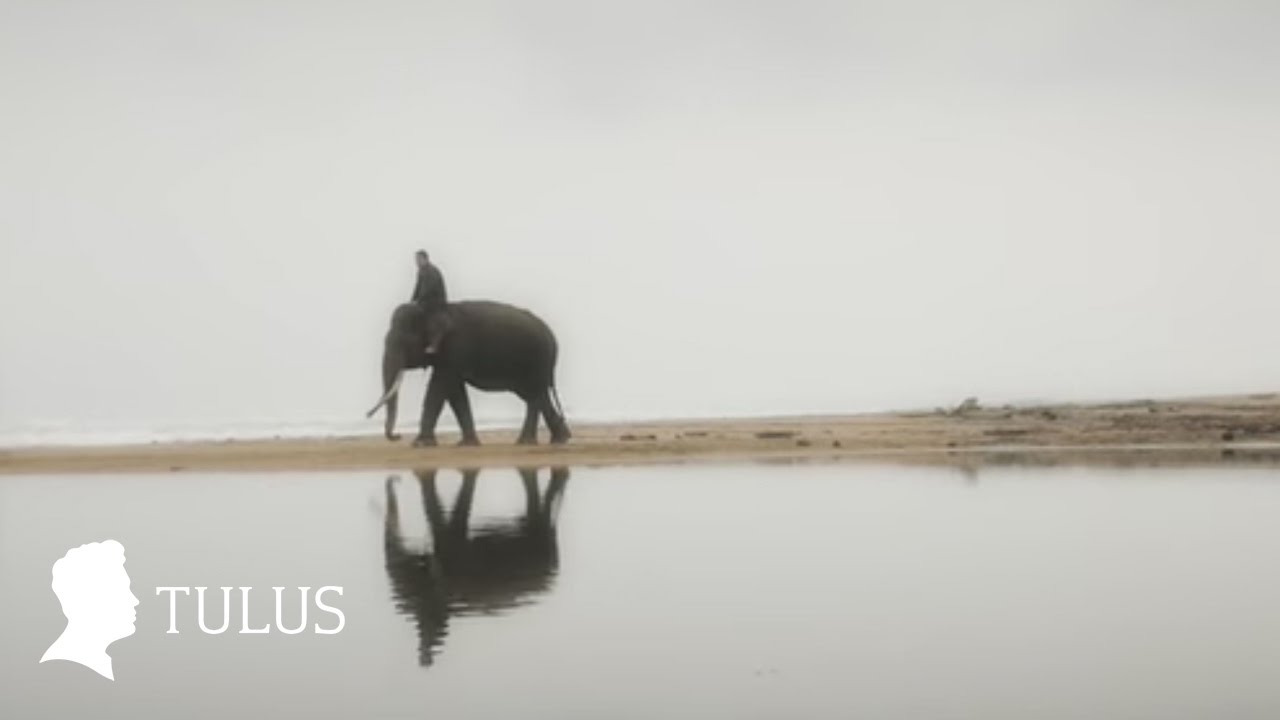 TULUS - Gajah (Official Music Video) cover art