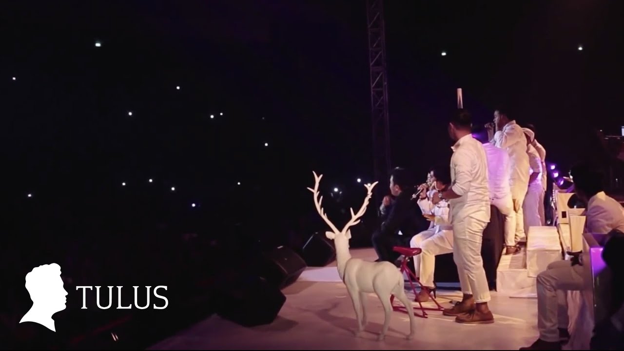 TULUS - Konser Gajah TULUS Bandung 2014 cover art