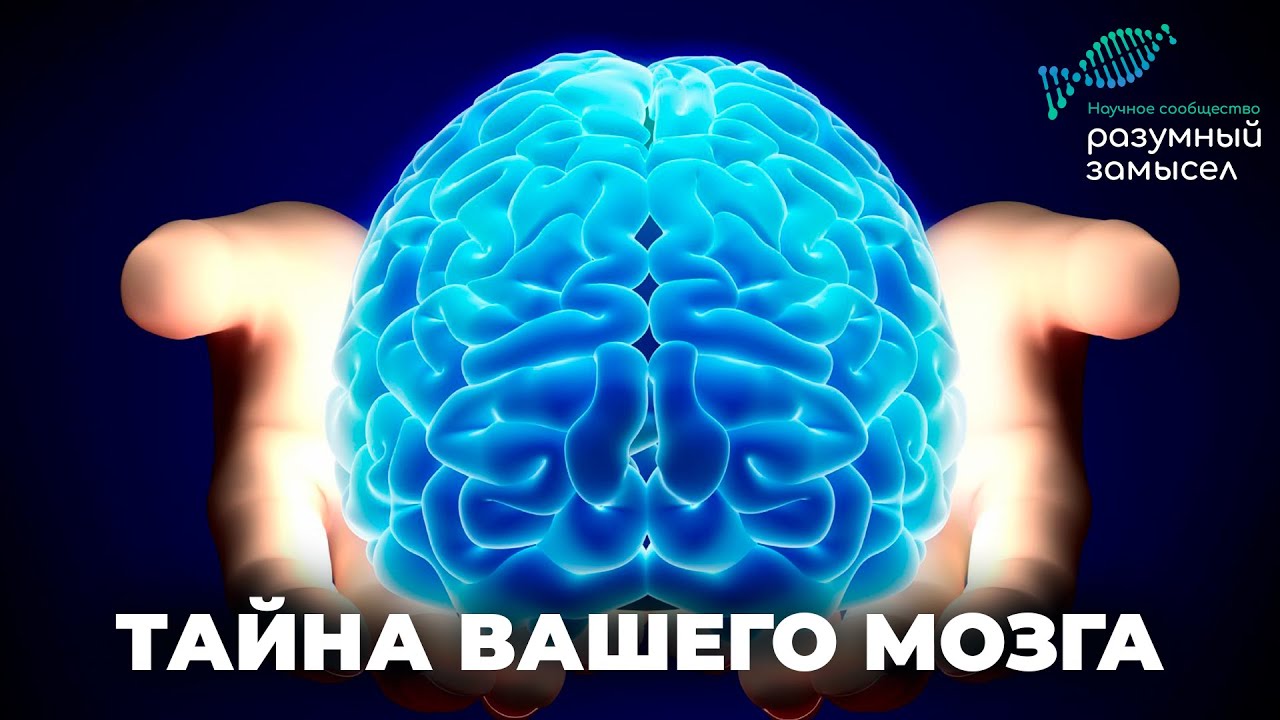 Тайны нашего мозга: насколько наука близка к разгадке. Человеческий мозг свидетельствует о Творце cover art