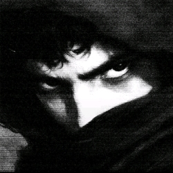 author avatar