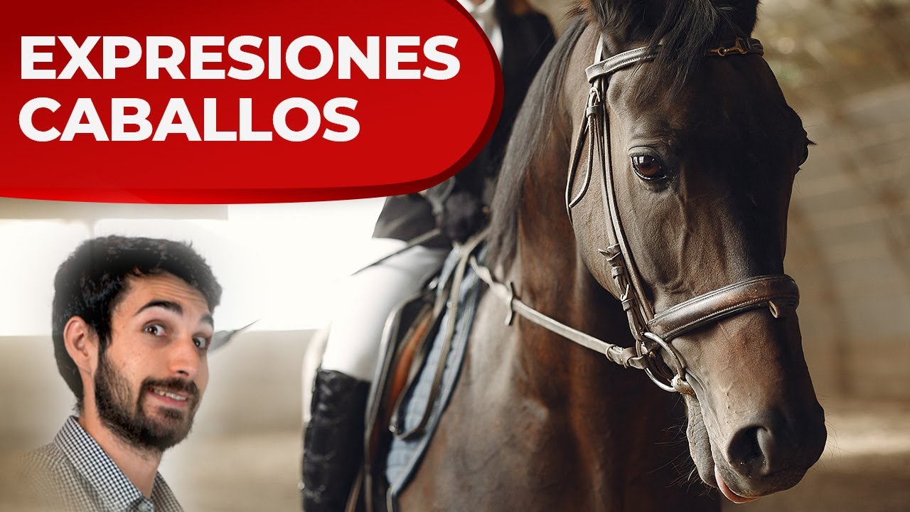 Hoy Hablamos: Podcast diario para aprender español - Learn Spanish Daily Podcast cover art