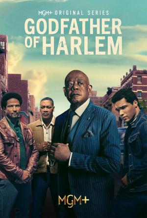 Godfather of Harlem - 123Movies