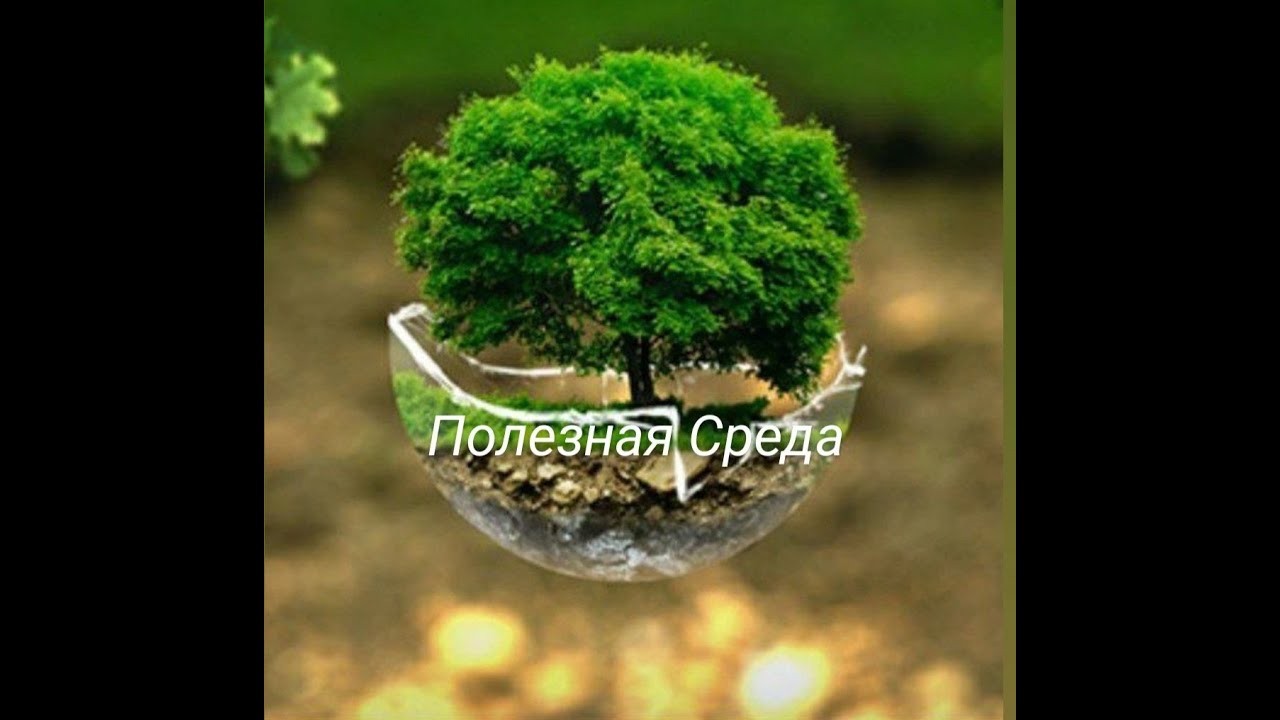 Головные боли