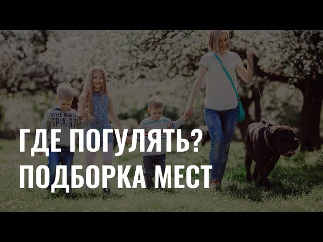 Где погулять? Подборка парков и мест для отдыха вокруг Красноярска cover art