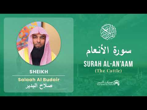 Quran 6   Surah Al An'aam سورة الأنعام   Sheikh Salah Al Budair cover art