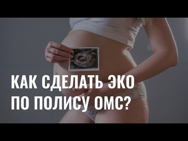 Как сделать ЭКО по полису ОМС? cover art