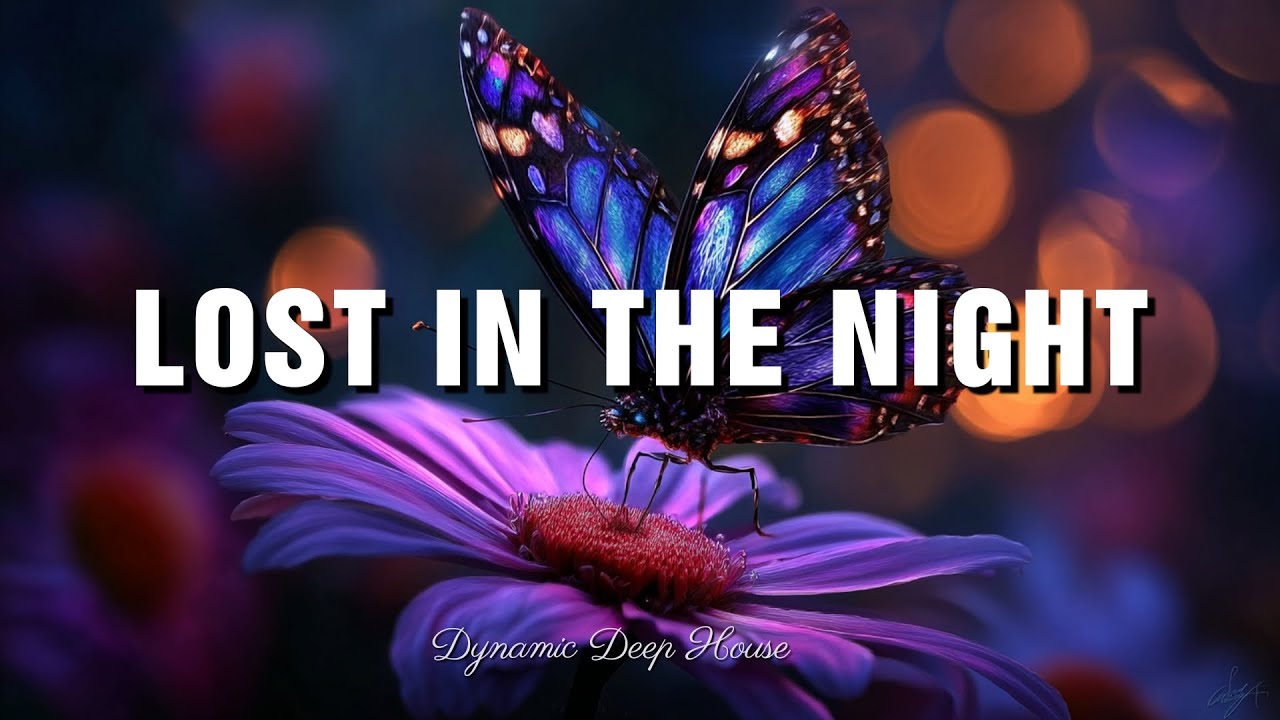 Lost in the Night -  Dynamic Deep House cover art