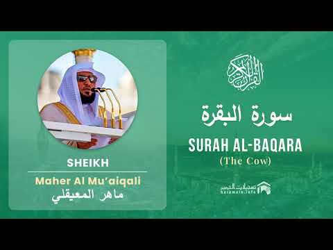 Quran 2   Surah Al Baqara سورة البقرة   Sheikh Maher Al Mu'aiqali cover art