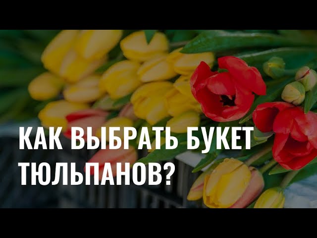 Советы флориста: как выбрать идеальный букет тюльпанов? cover art