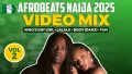 Best of Afrobeats Naija 2025 Video Mix 🇳🇬 Who’s Dat Girl, Lalala, BODY (danz)