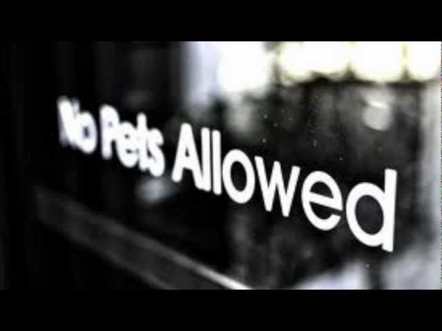 NoPetsAllowed - Maot ka Girl (NPA) cover art