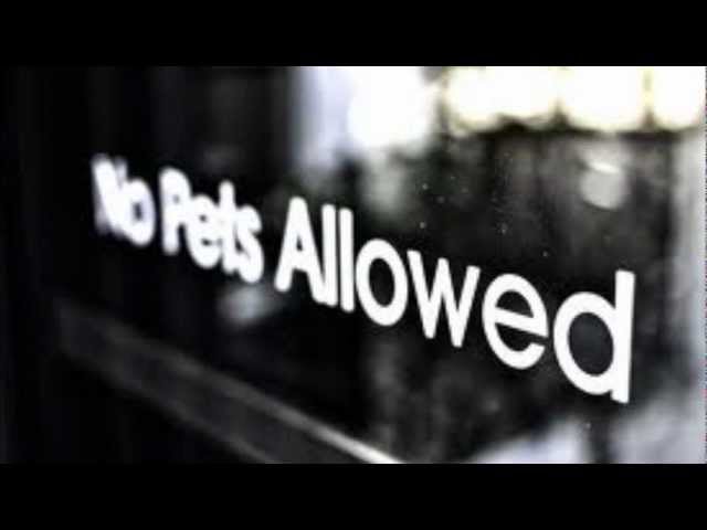 NoPetsAllowed - Ima Take You High cover art