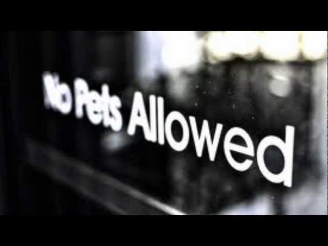 NoPetsAllowed - Mga Sweto cover art
