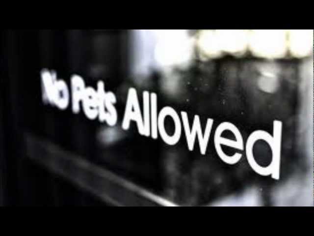 NoPetsAllowed - I Really Miss That cover art