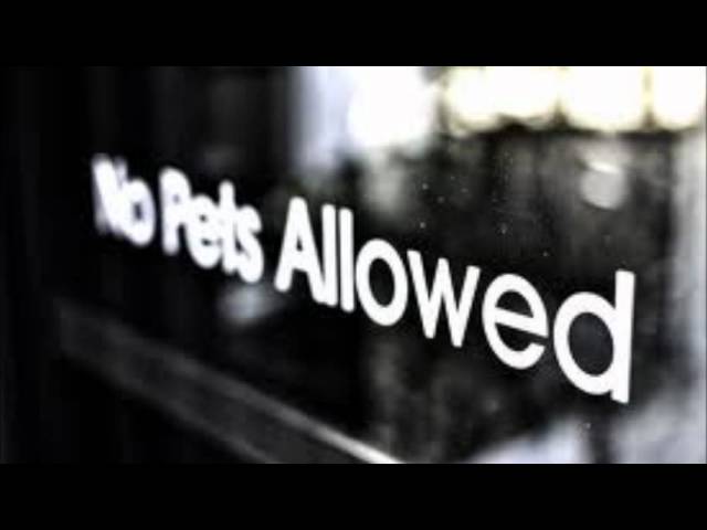 NoPetsAllowed - Mga Yawa cover art