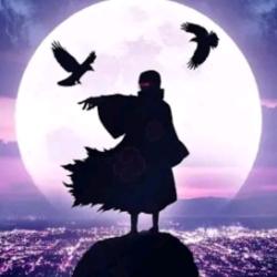 author avatar