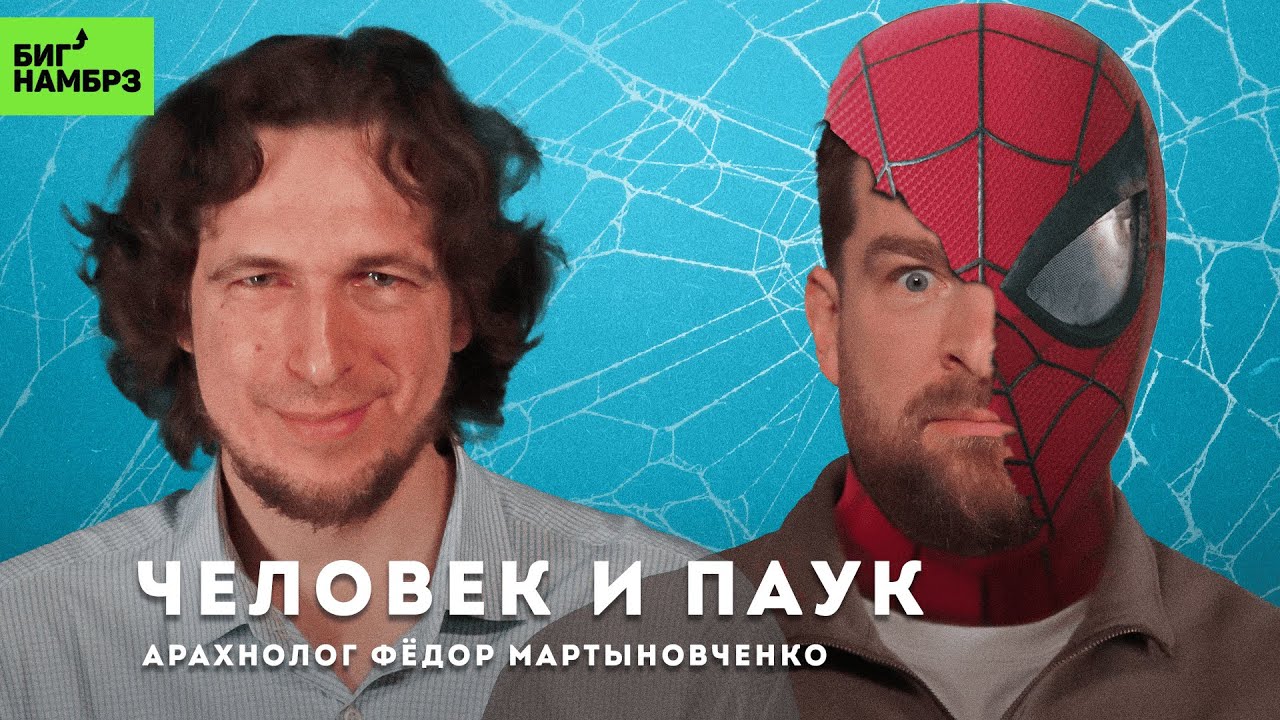 Тайная жизнь пауков | АРАХНОЛОГ ФЕДОР МАРТЫНОВЧЕНКО cover art