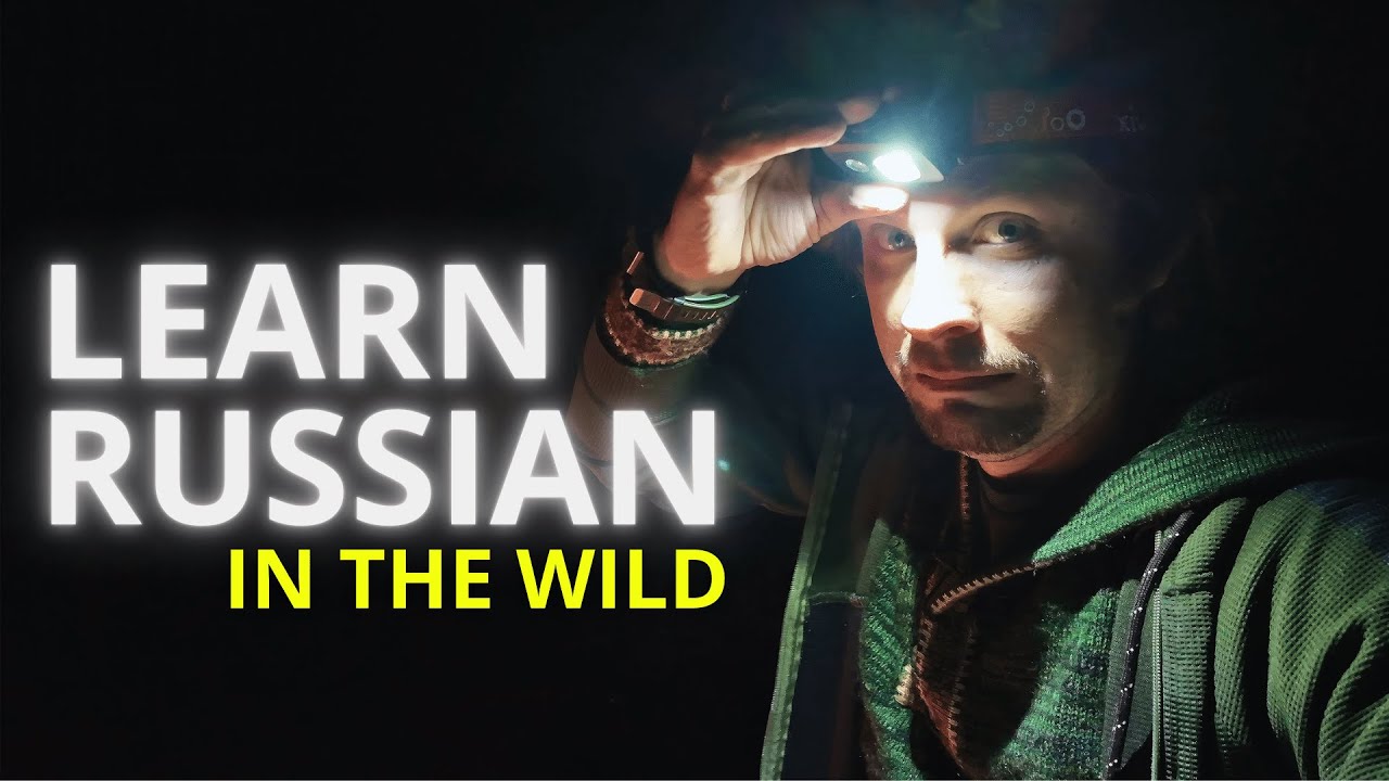 Scary Night, Russian Words - Learning in the Wild cover art