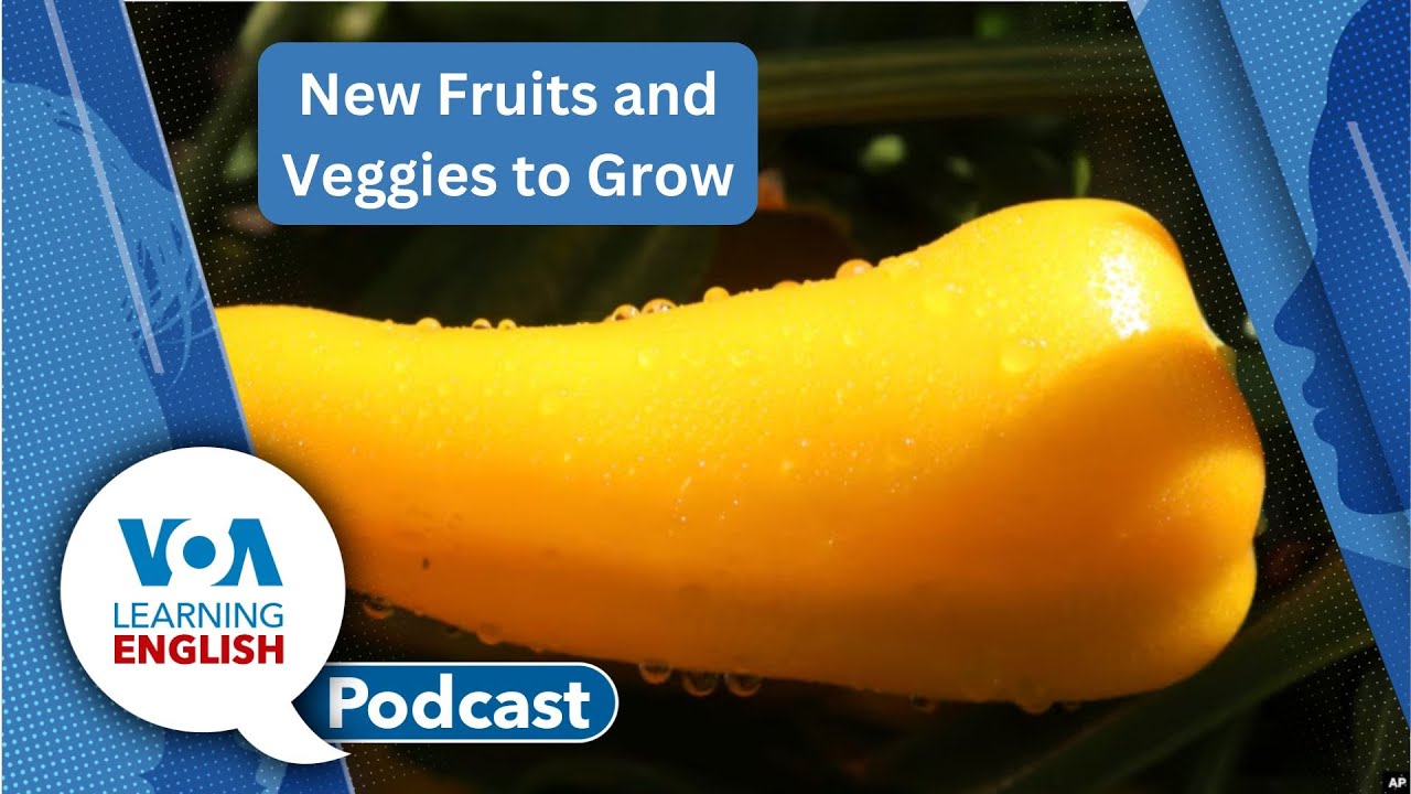 Pearl S Buck, New fruits, Prefixes, Whose Who’'s