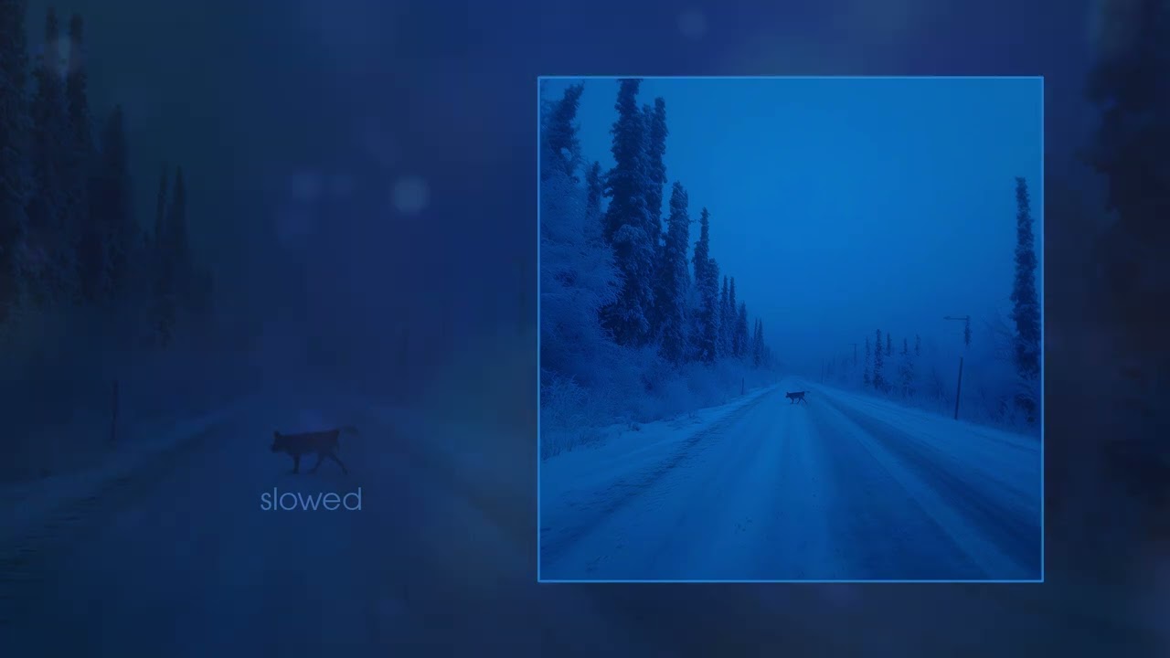 lonely. - nature (Официальная премьера трека) cover art
