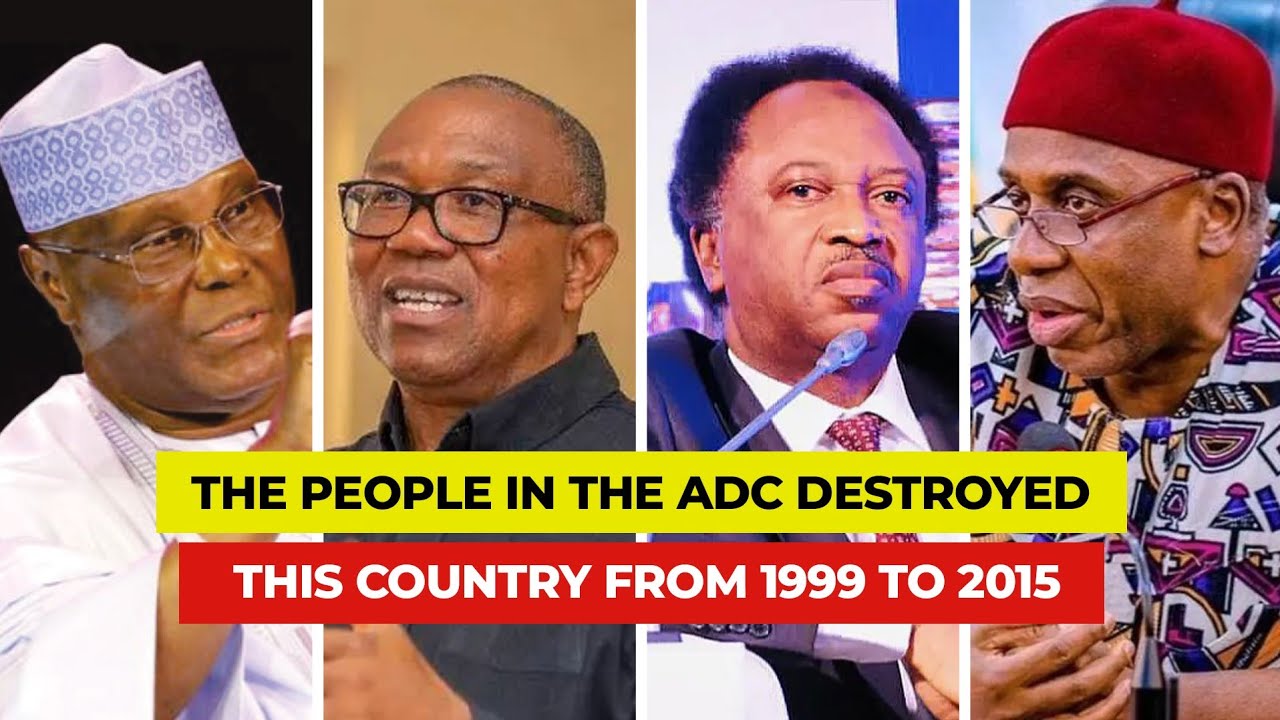 The people in the ADC destroyed this country from 1999 to 2015. cover art