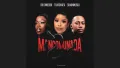 Rio Dinerro x Thatohatsi x ShaunMusiQ - Mancomunada (Official Audio)