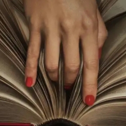 author avatar