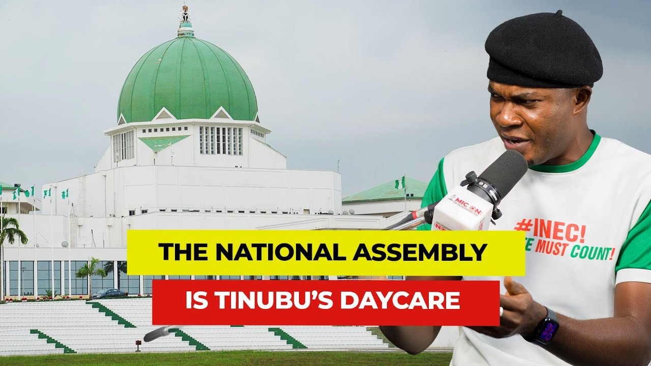 The National Assembly Is Tinubu’s Daycare cover art