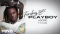 Fireboy DML - Adore (Official Visualizer) ft. Euro