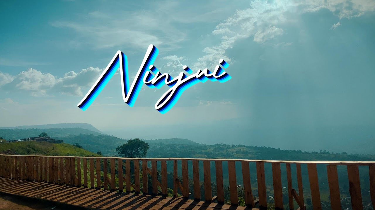 10Tonnes - Ninjui ft Mutoriah, Hornsphere (Lyric Video) cover art
