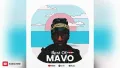 BEST OF MAVO MIX 2025 (MIXED BY STAR PLAY DJ) Shakabulizzy | Money Constant | Wizkid & More.