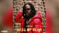 BEST OF REMA MIX 2026 (MIXED BY STAR PLAY DJ) || FUN, KELEBU, Calm Down, Lalala..
